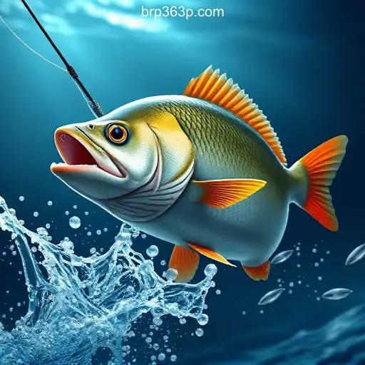 Exploring the Excitement of Fishing Games: The Next Big Thing in Online Entertainment